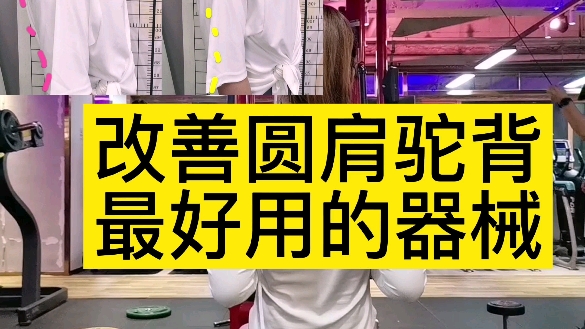 超适合新手的坐姿划船教学/健身房器械使用说明书哔哩哔哩bilibili