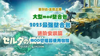 【王国之泪】2025年最强mod整合包，进阶安装篇-MOD管理器使用教程