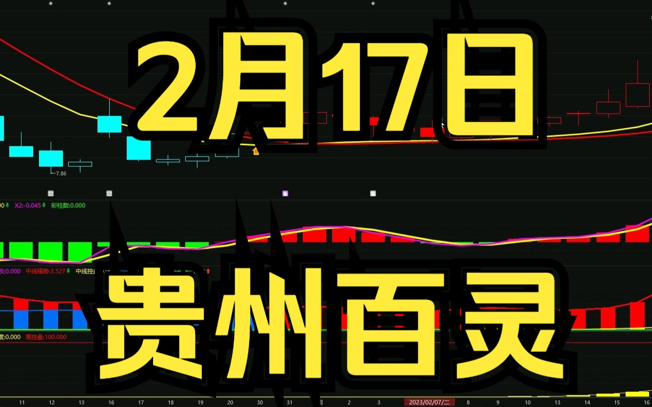 2.17贵州百灵:最新主力资金情况,如何判断低吸高抛?哔哩哔哩bilibili