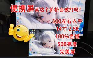 Download Video: 14寸 2.5K分辨率 500尼特亮度 100%色域  白色铝合金外壳便携式显示器 适用于SWITCH XBOX PS4 PS5 游戏机便携屏 笔记本电脑分屏