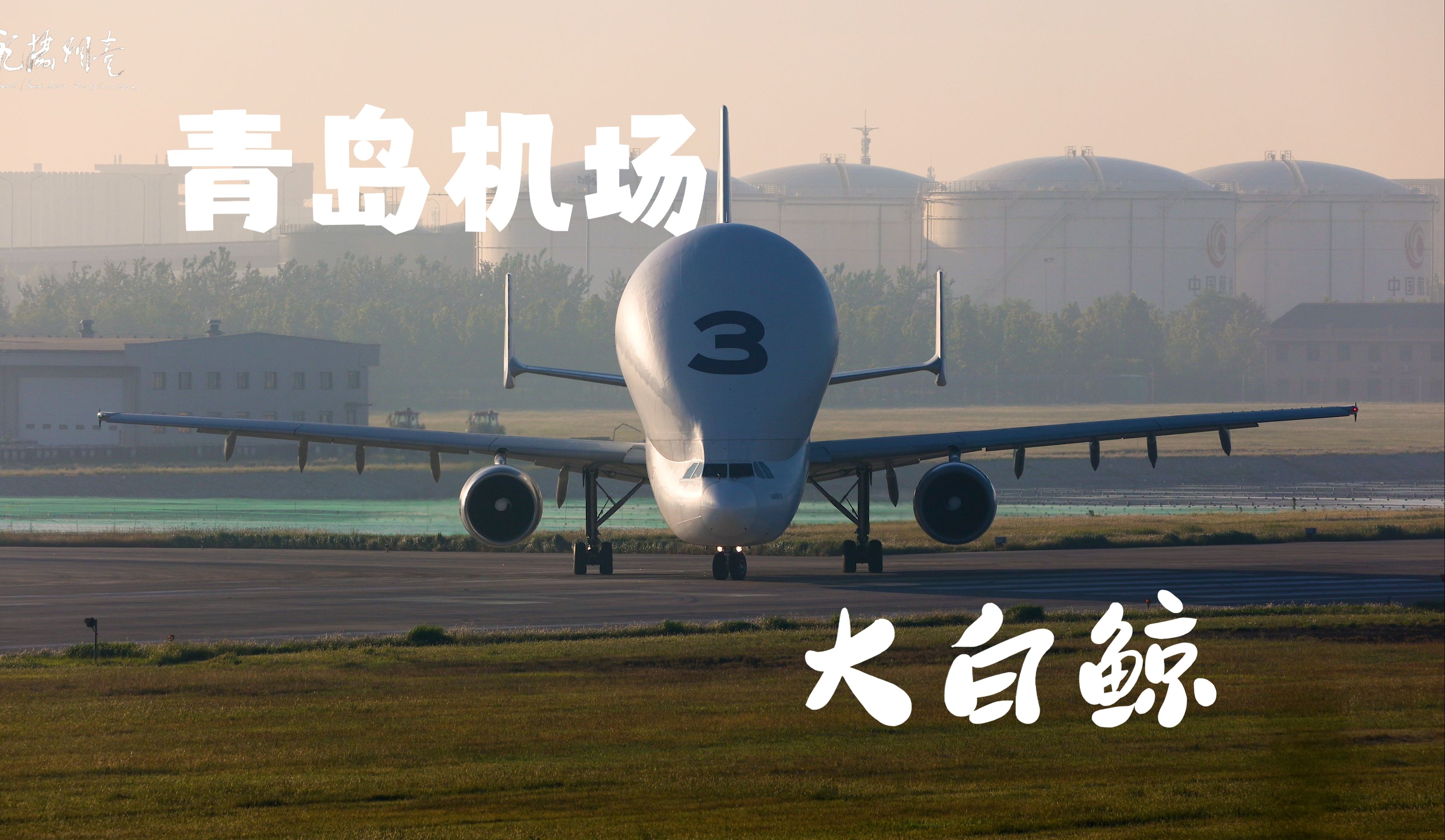 你好大白鲸！青岛机场迎来空客大白鲸！各地飞友齐聚青岛机场拍摄！五分钟看遍大白鲸起落纪实