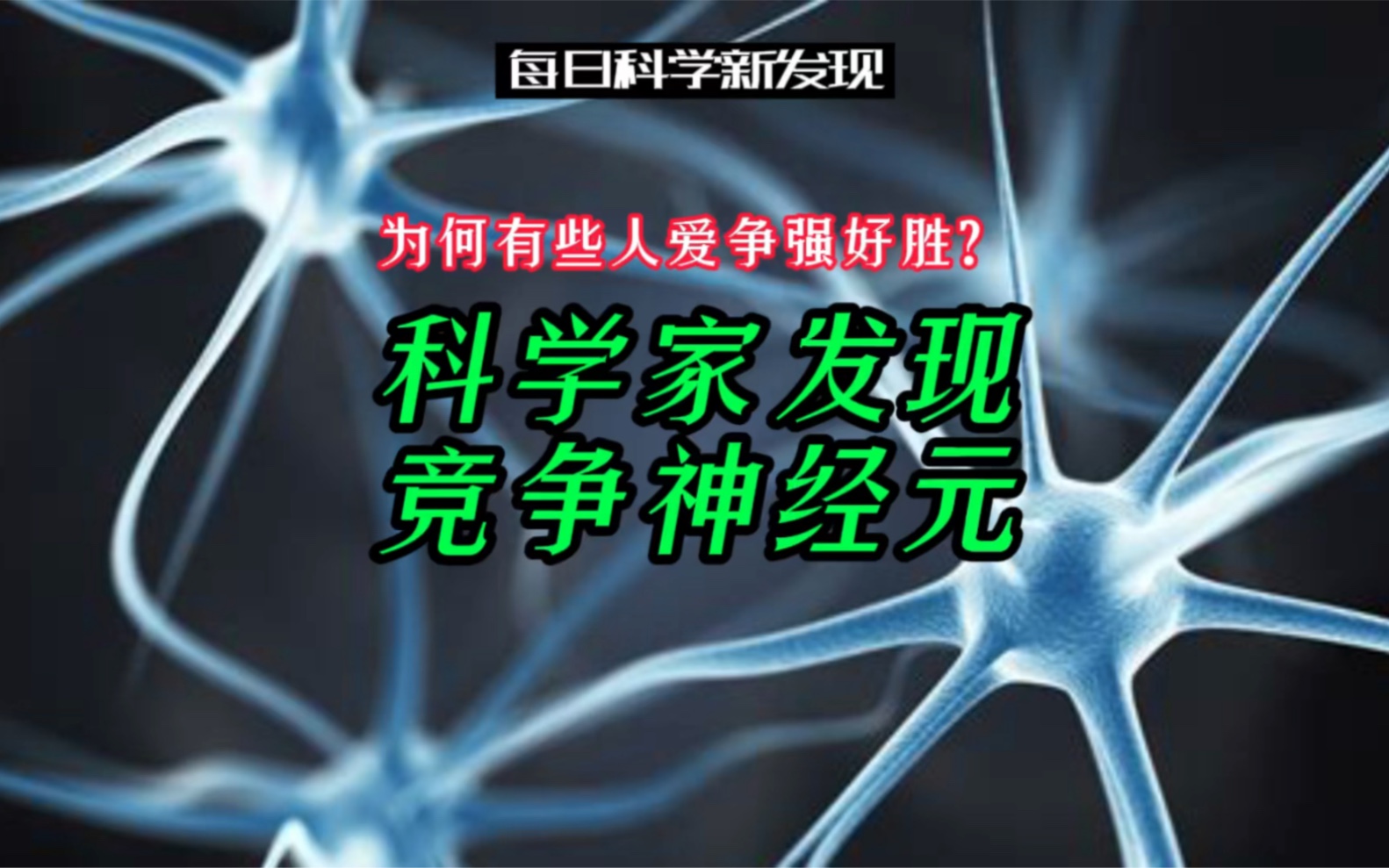 [图]【每日科学新发现】为何有些人爱争强好胜？或不全因为性格，科学家发现竞争神经元