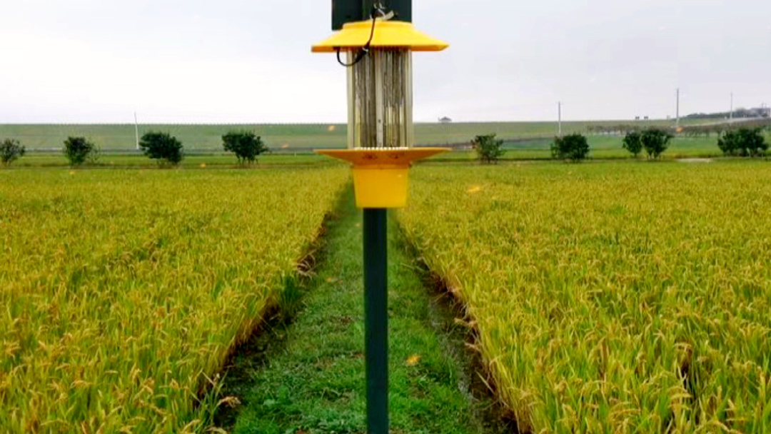 太阳能杀虫灯灭蚊灯