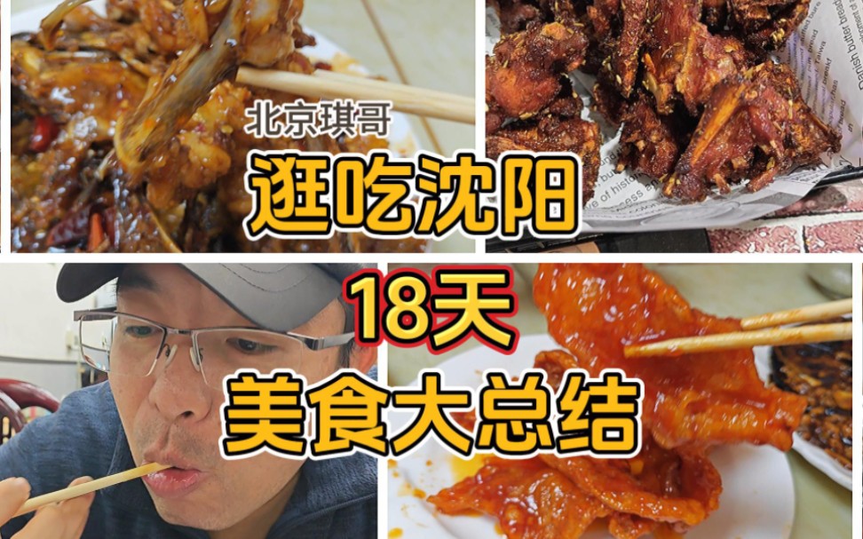 北京琪哥逛吃沈阳18天,网友推荐美食攻略大总结,游客必吃5大类哔哩哔哩bilibili