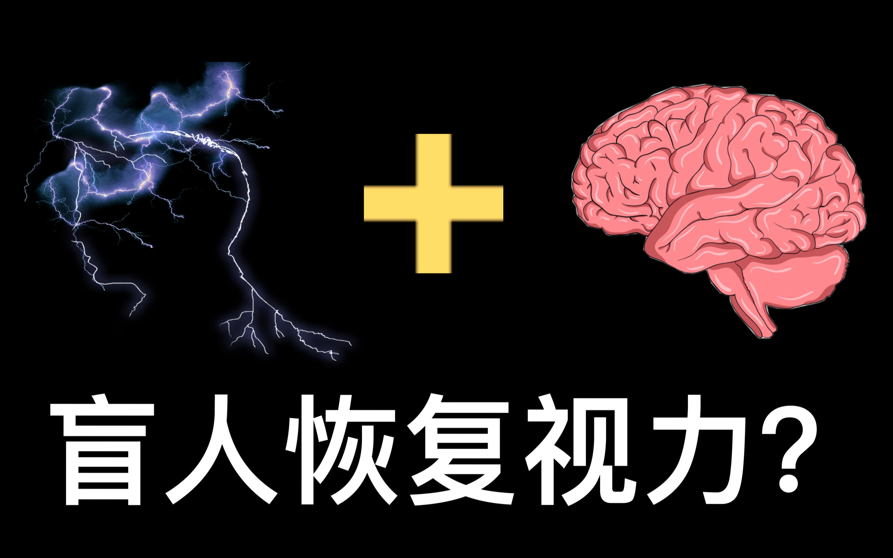 进入虚拟世界需要几步?| 脑子是个好东西 第三期:盲人“仿生眼”与视觉皮层哔哩哔哩bilibili