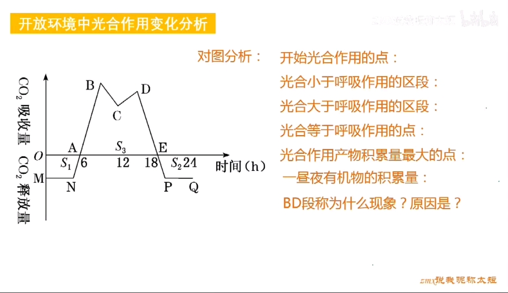 细胞代谢→光合作用和呼吸作用相关曲线 ＂自然环境一昼夜变化哔哩哔哩bilibili