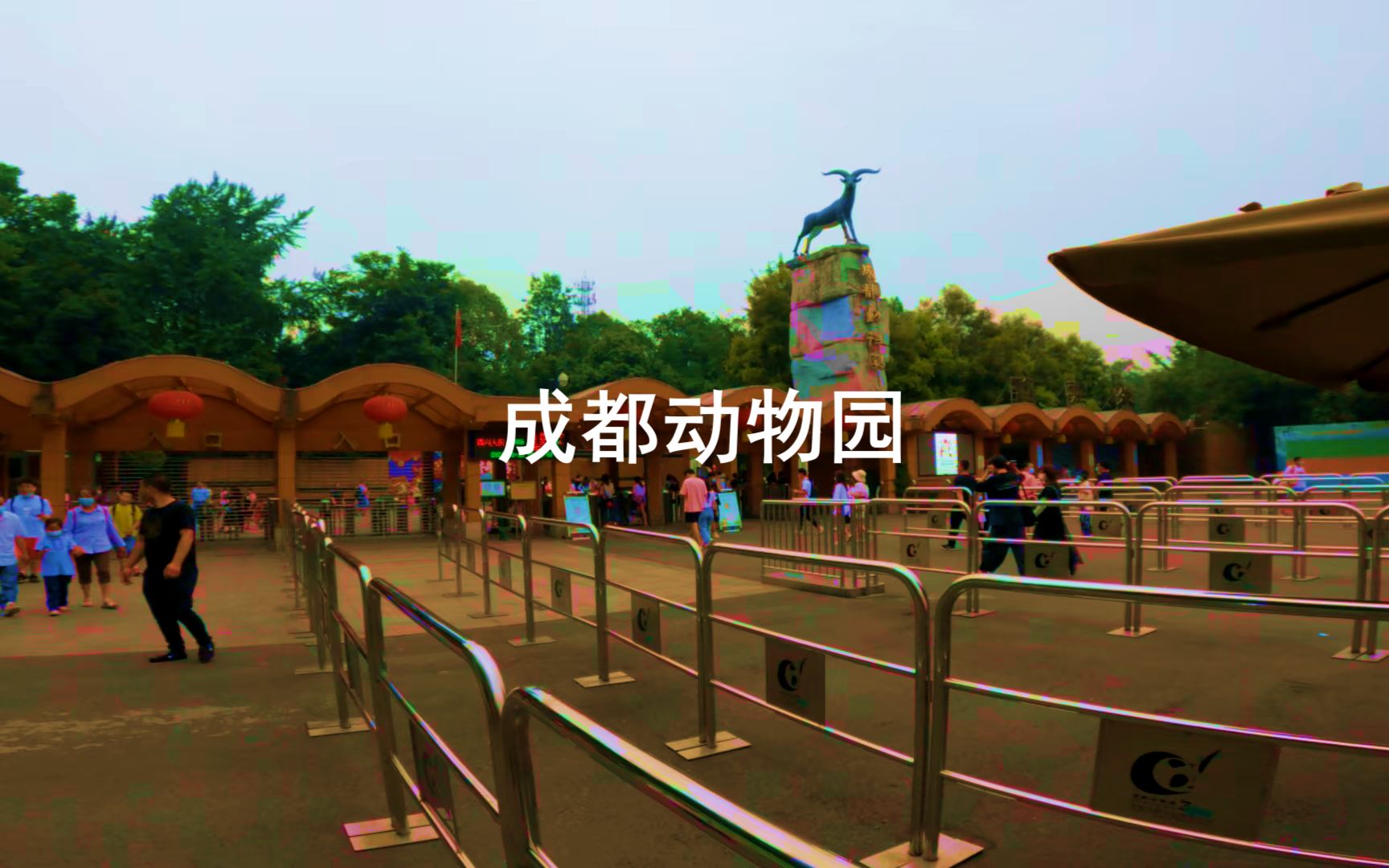成都动物园游乐场图片