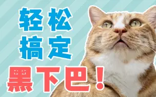 Video herunterladen: 99%的猫都会得黑下巴？收好这份最全治愈指南！