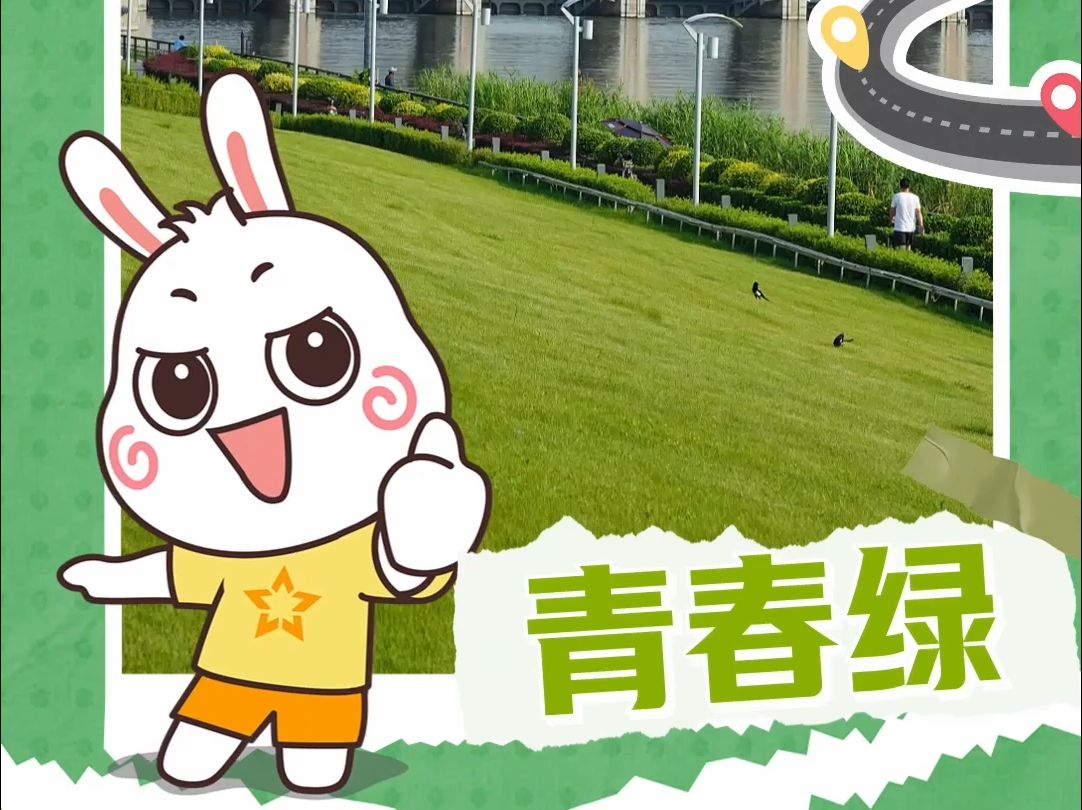 五彩京津冀,绘就青春绿动图哔哩哔哩bilibili