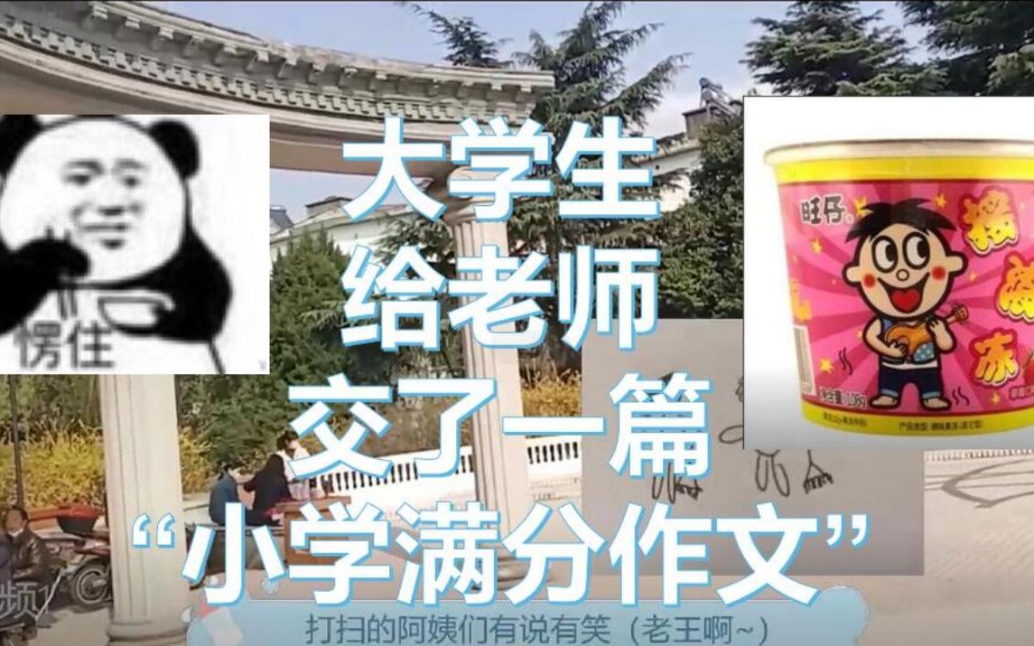 大学生对作业发愁,交给老师一篇“小学满分作文”哔哩哔哩bilibili