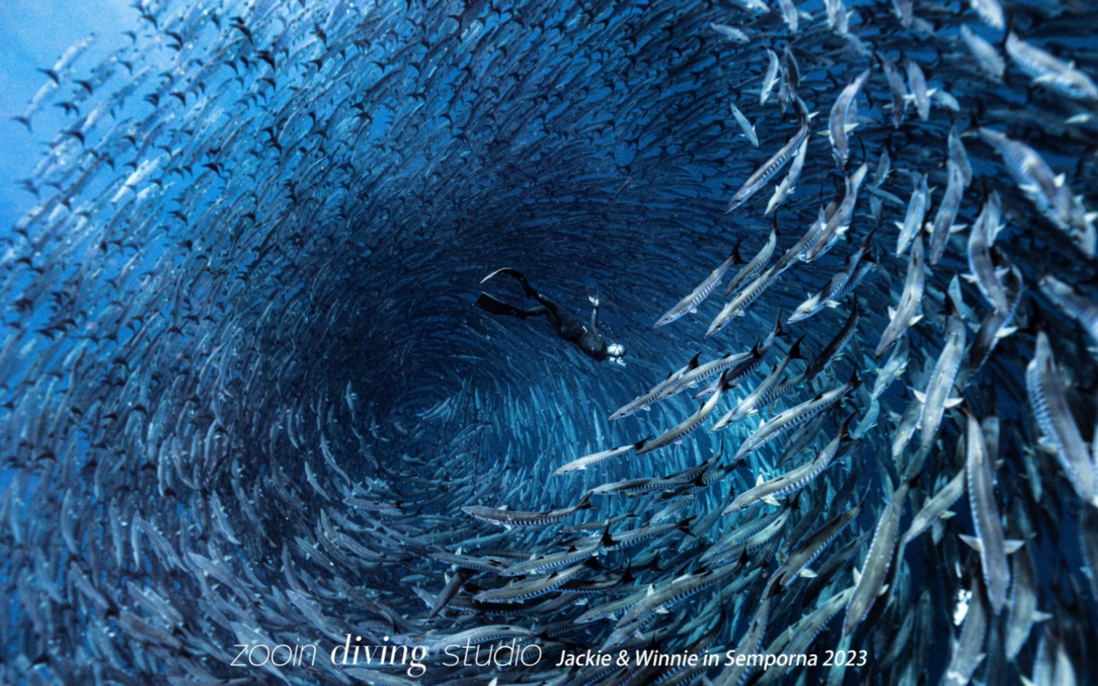 仙本那|诗巴丹的海狼风暴值得打卡