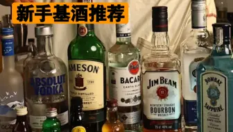 Download Video: 新手入门基酒推荐