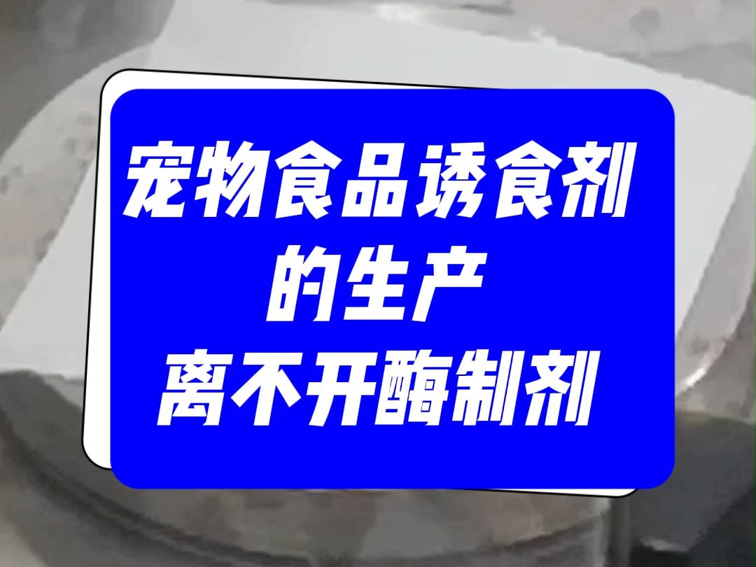 宠物诱食剂生产离不开酶制剂哔哩哔哩bilibili