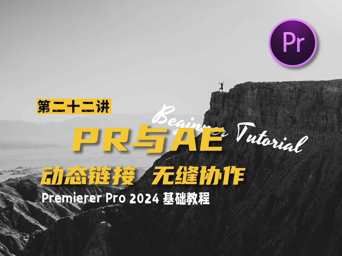 PR与AE动态链接 无缝协作 【PremierePro2024 基础教程】哔哩哔哩bilibili