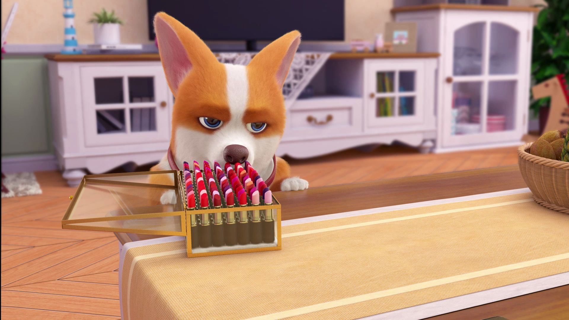 飞狗moco | 该省省,该花花,主人真是个好女孩!_哔哩哔哩_bilibili