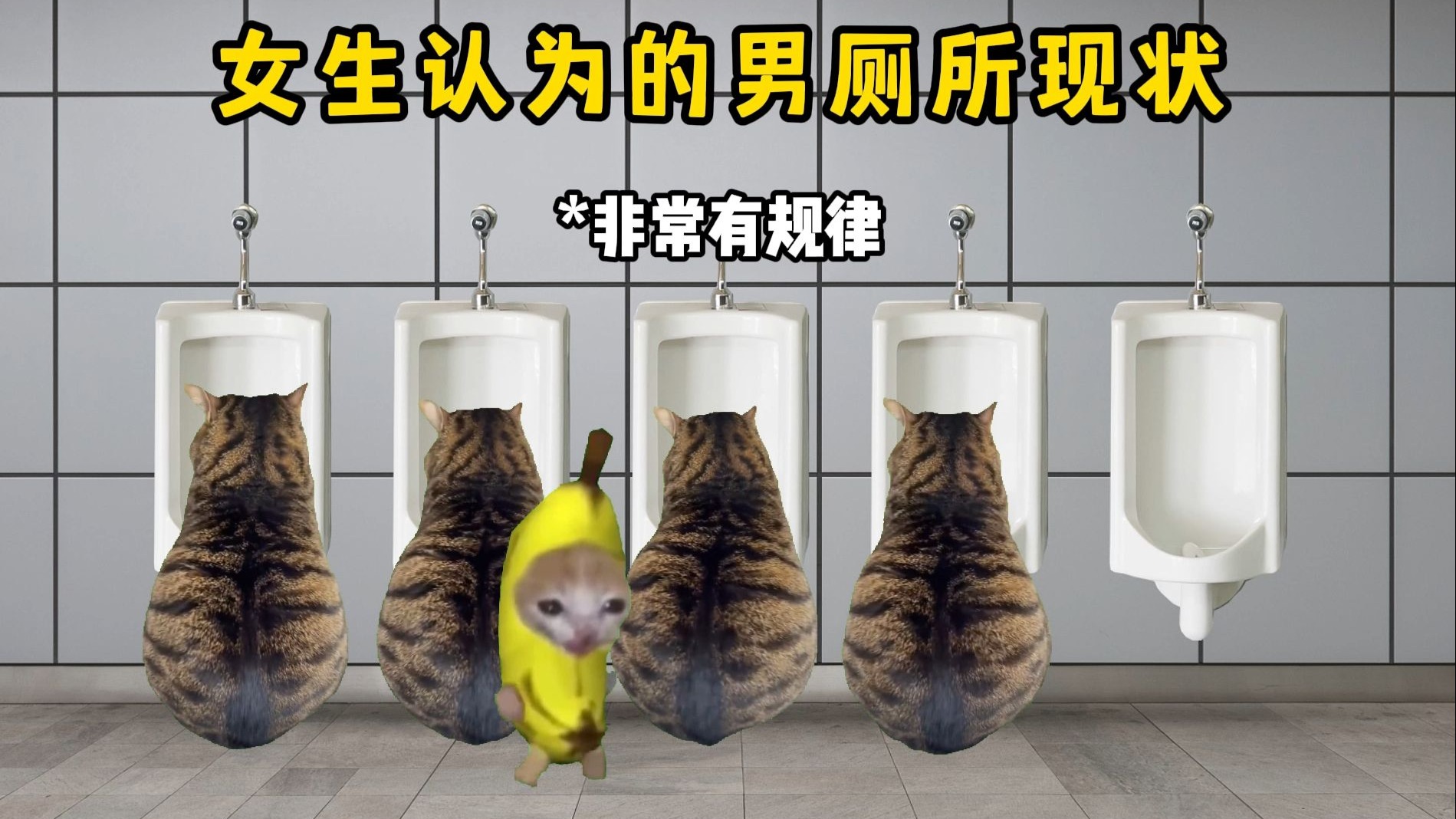 女生认为的男厕所现状！