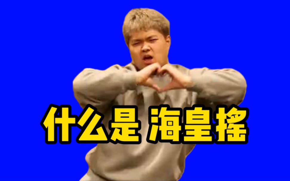 什么是海皇摇?他说.-鱼崽不爱吃葱a-默认收藏夹-哔哩哔哩视频