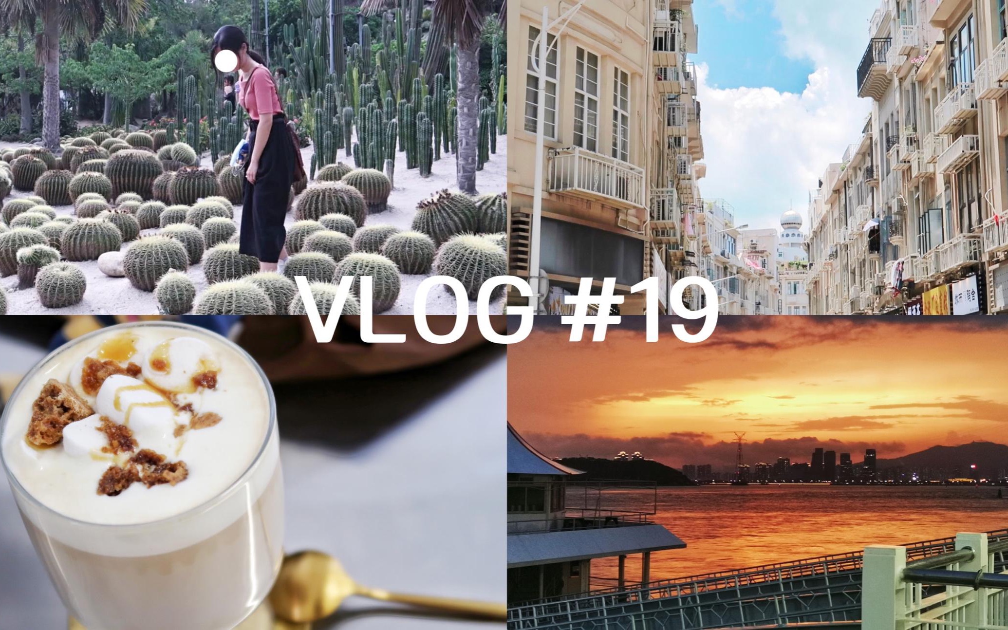 【vlog#19】厦门(day 1) 23岁的我终于体验了一个人的旅行!/ 厦门三天三夜的第一天vlog / 附详细旅行路线攻略/沙坡尾,八市,厦门植物园,猫街哔哩哔...