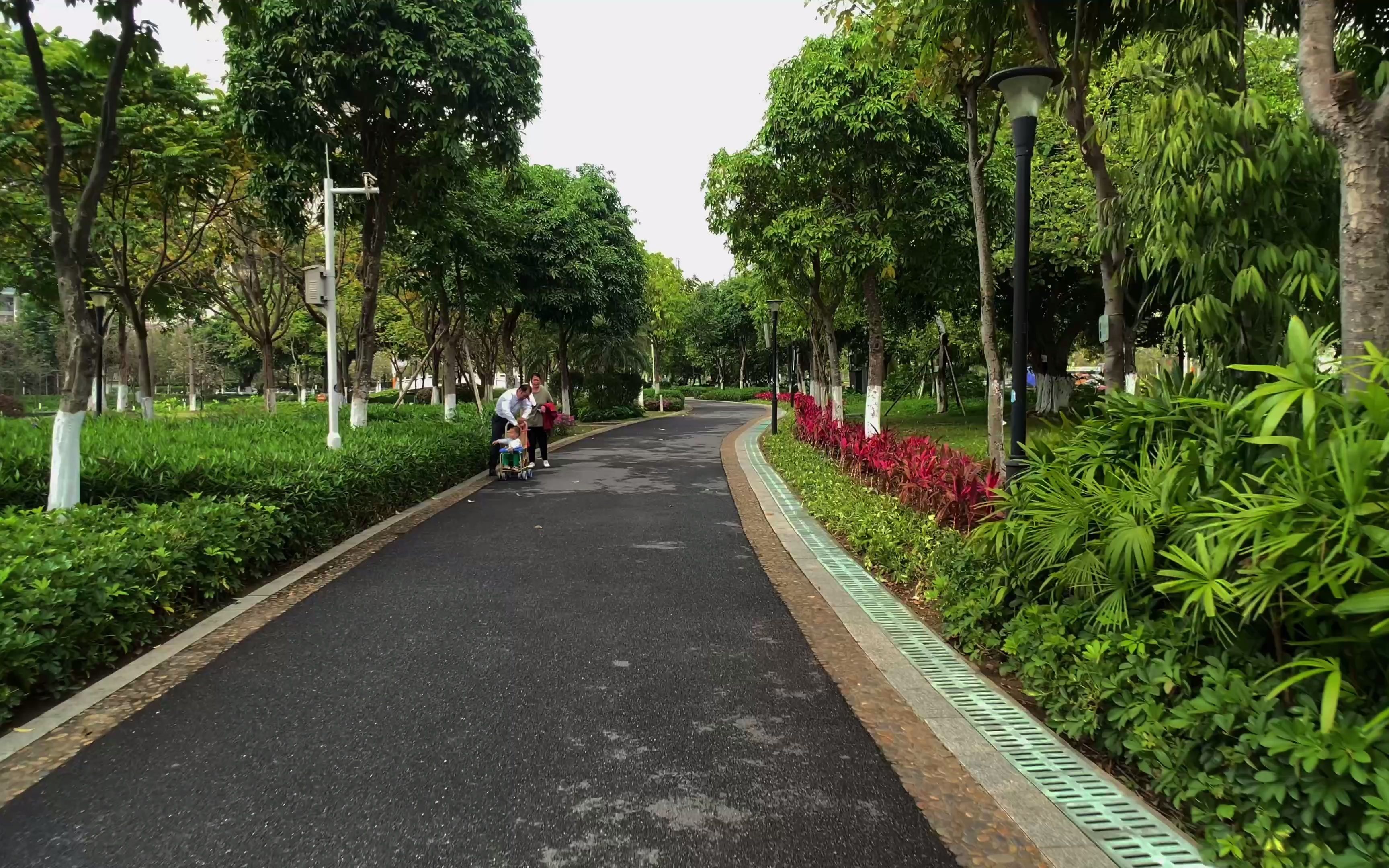 活动作品4k中山市彩虹绿洲湿地公园徒步漫游