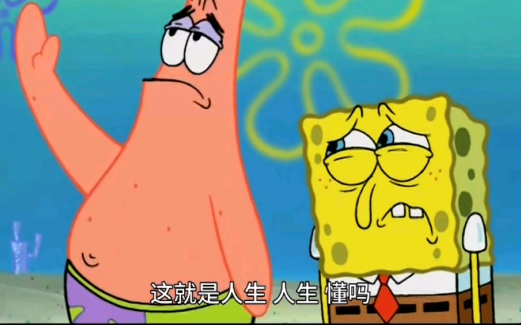 小时候不懂,长大才发现,派大星说的全是真的.