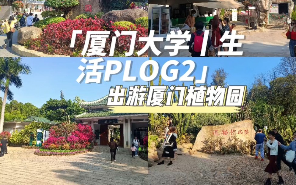 厦门大学丨生活plog2——出游厦门植物园哔哩哔哩bilibili