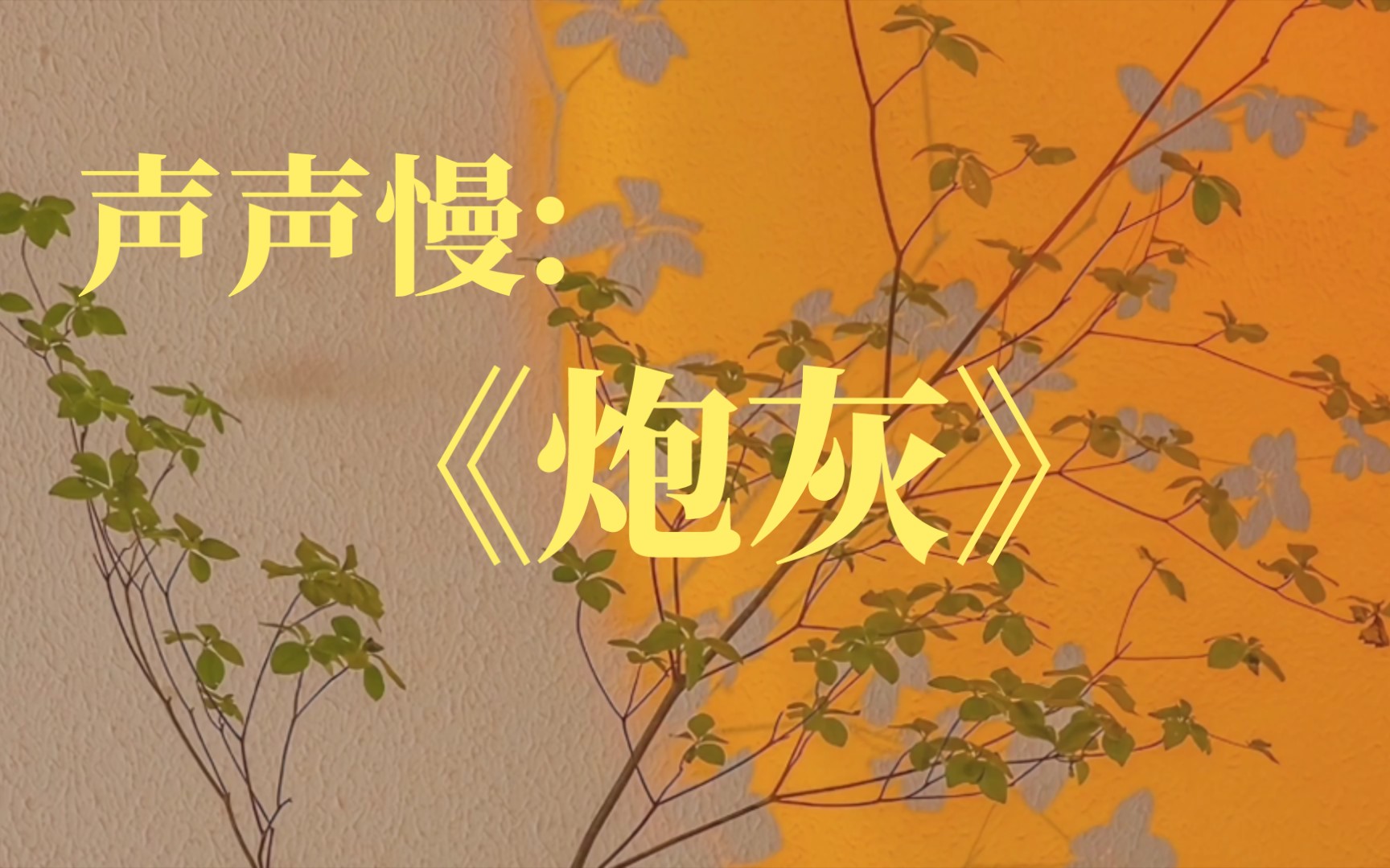 【cv声声慢】《炮灰》