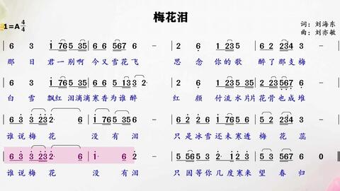 等待是最长情的告白 梅花泪 歌词领唱练习 等待是最长情的告白 梅花泪 歌词领唱练习