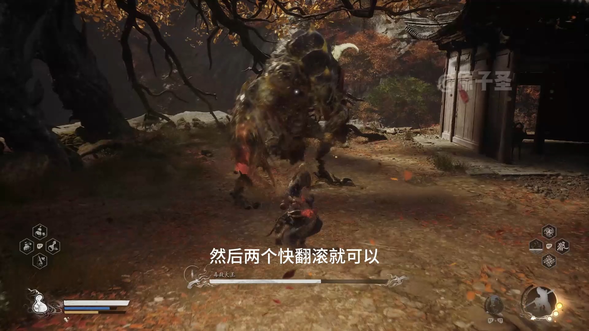 苦行僧式背板 无伤毒敌教学