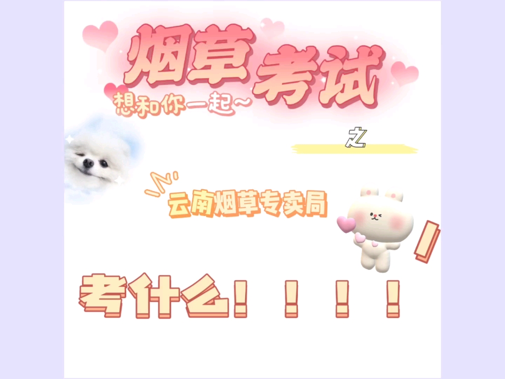 云南烟草招聘考试考什么?哔哩哔哩bilibili