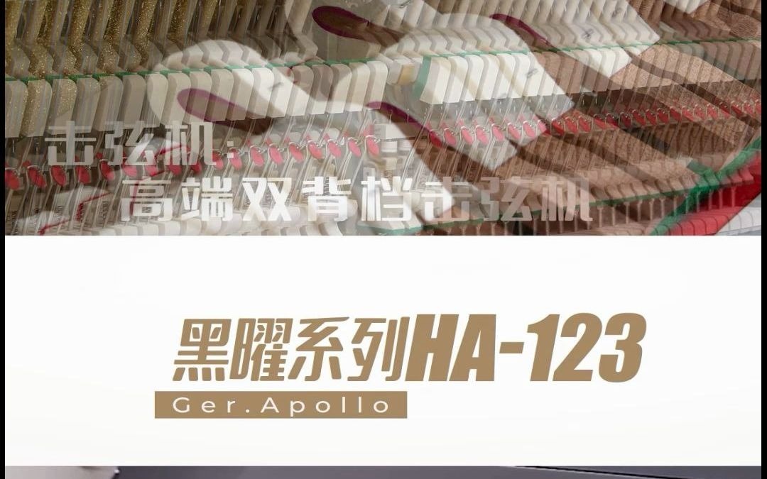 [图]【Ger.Apollo 阿波罗钢琴】黑曜系列HA-123 定弦钮：全音域独立定弦钮； 琴弦：德国进口Roslou琴弦； 弦槌：德国定制FFW弦槌； 击弦机：高端