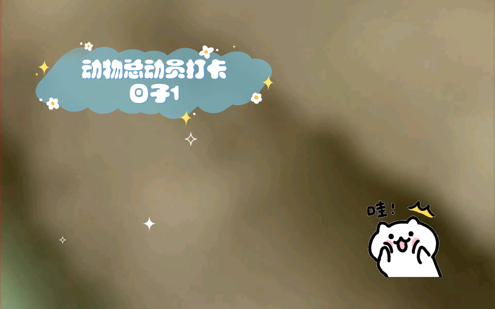 动物总动员打卡日子1|20|20|81