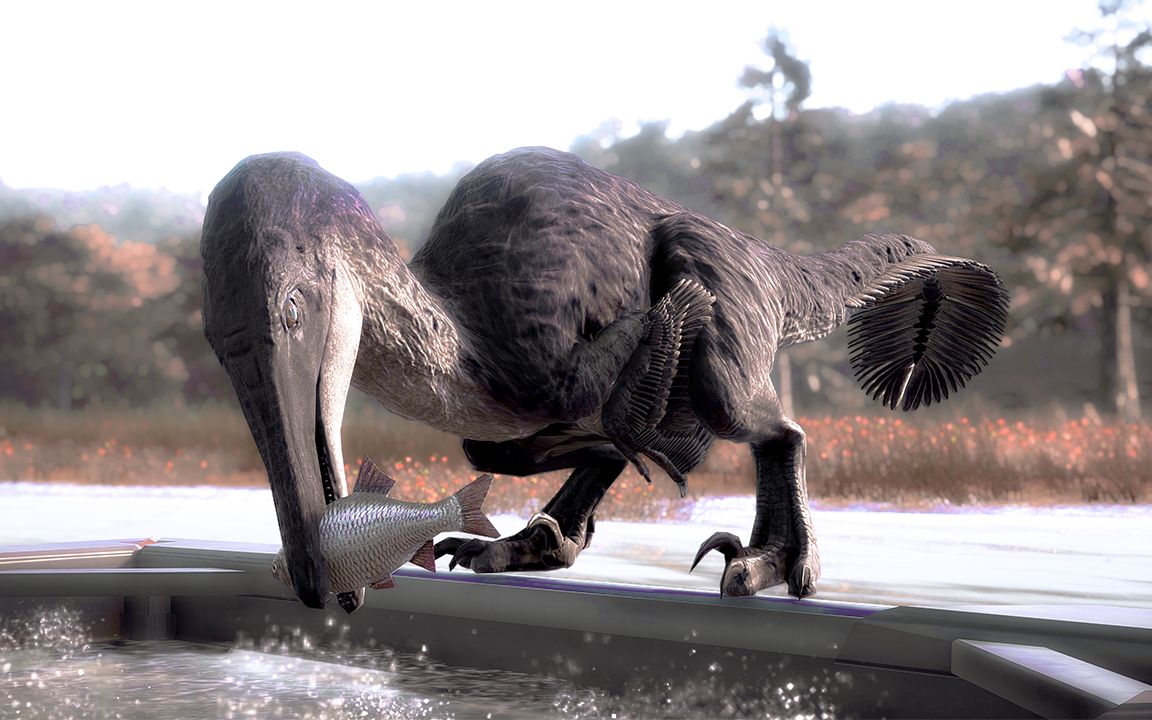 性感渔夫:南方盗龙,也是最长的驰龙类恐龙 - 【恐龙档案】侏罗纪世界