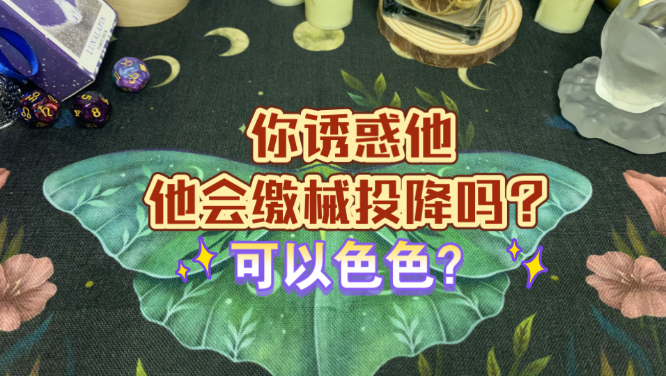 你诱惑他,他会缴械投降吗?哔哩哔哩bilibili