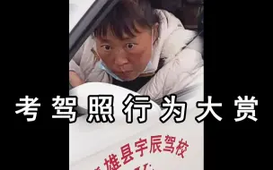 Download Video: 人类驾照行为大赏：教练原来是高危职业！