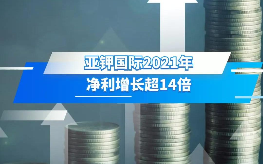 亚钾国际2021年 净利增长超14倍哔哩哔哩bilibili