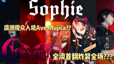 FLAC] Sophie / 'S/' The Way -ver.D-_哔哩哔哩_bilibili