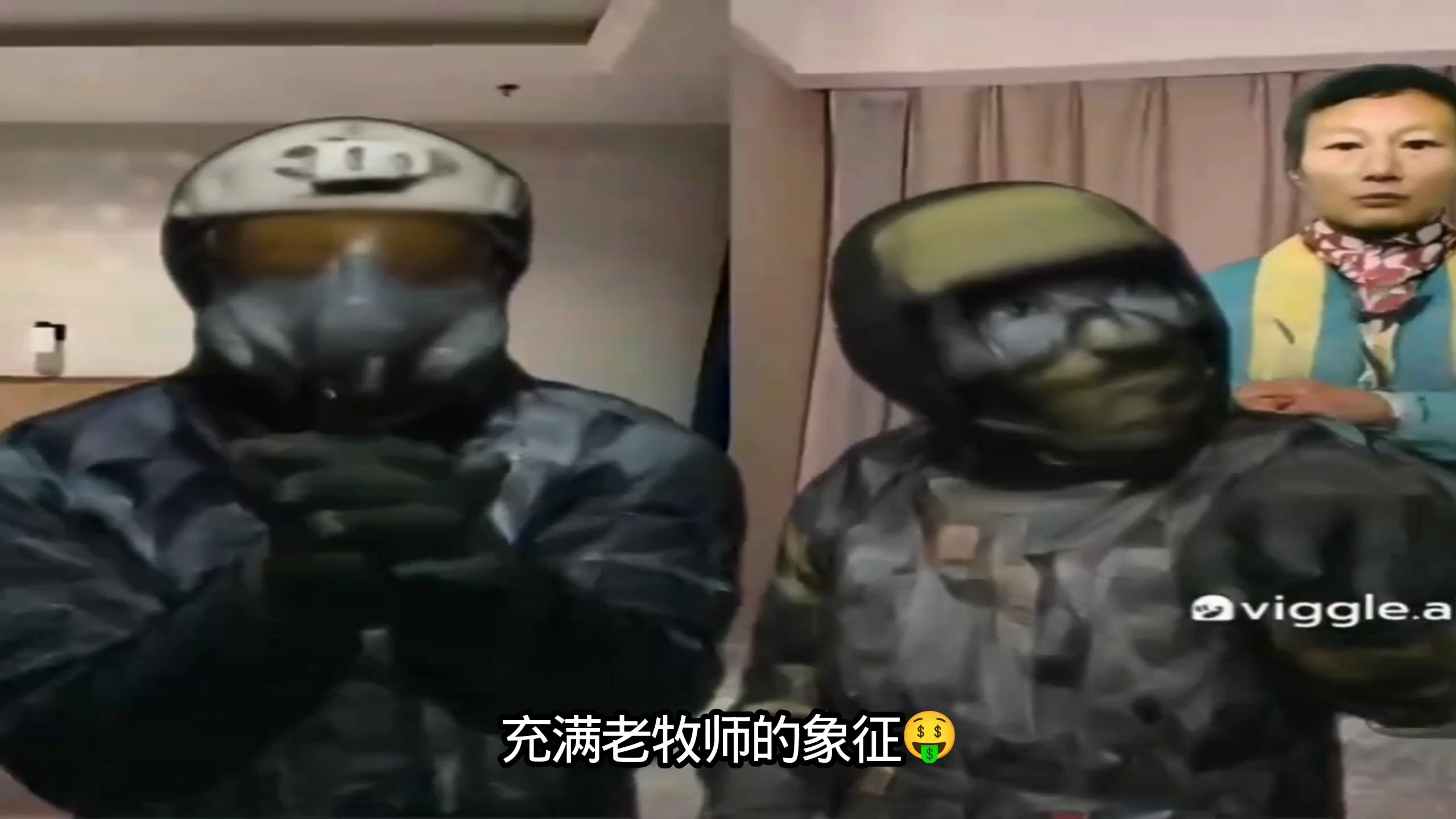 【老柴犬动画】我的最新作品，快来一睹为快！