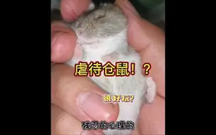 Download Video: 虐待仓鼠！？很好玩？