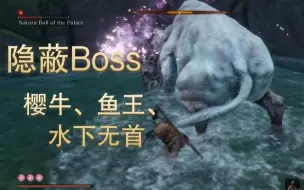 Download Video: 【只狼】隐藏boss集合，总有你错过的