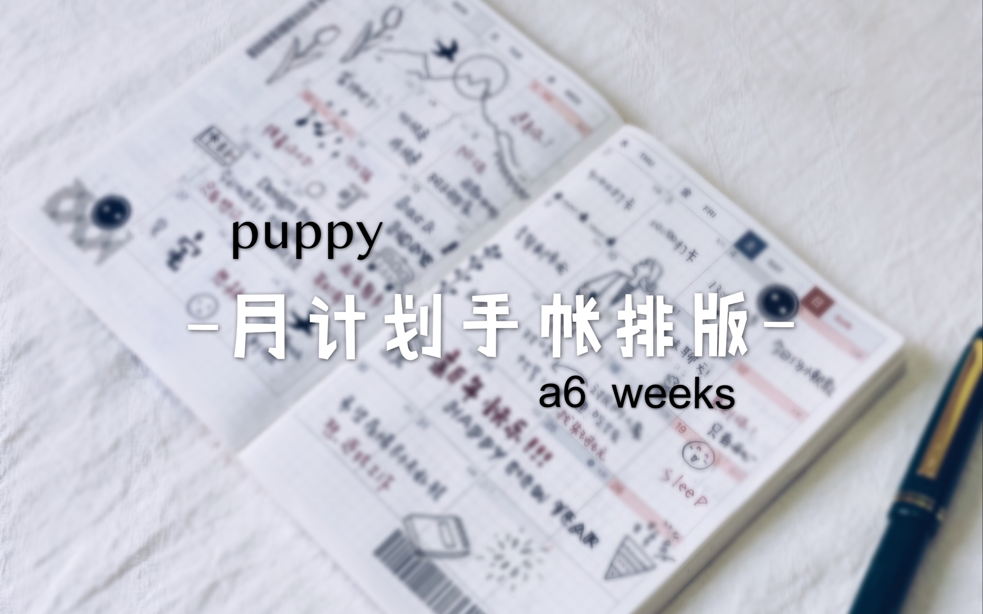 【Puppy手帐】月计划手帐排版分享 万能手帐排版哔哩哔哩bilibili