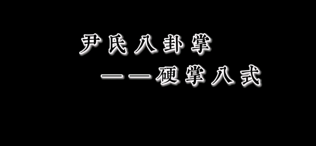 尹氏八卦掌——硬掌八式哔哩哔哩bilibili