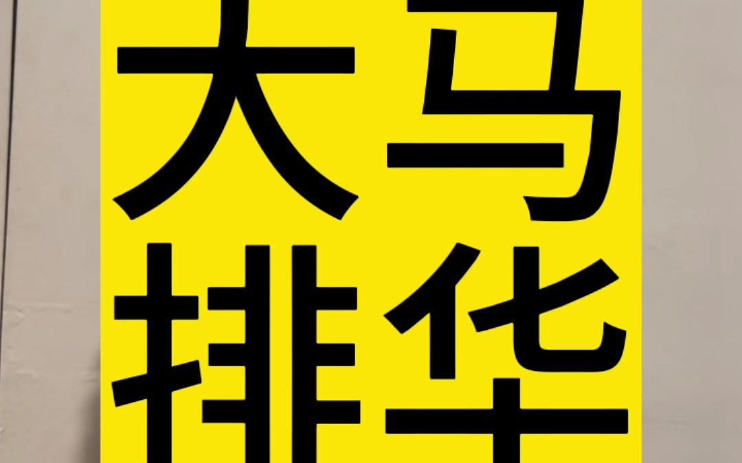 马来西亚华人大爷和我说,大马还会排华的哔哩哔哩bilibili