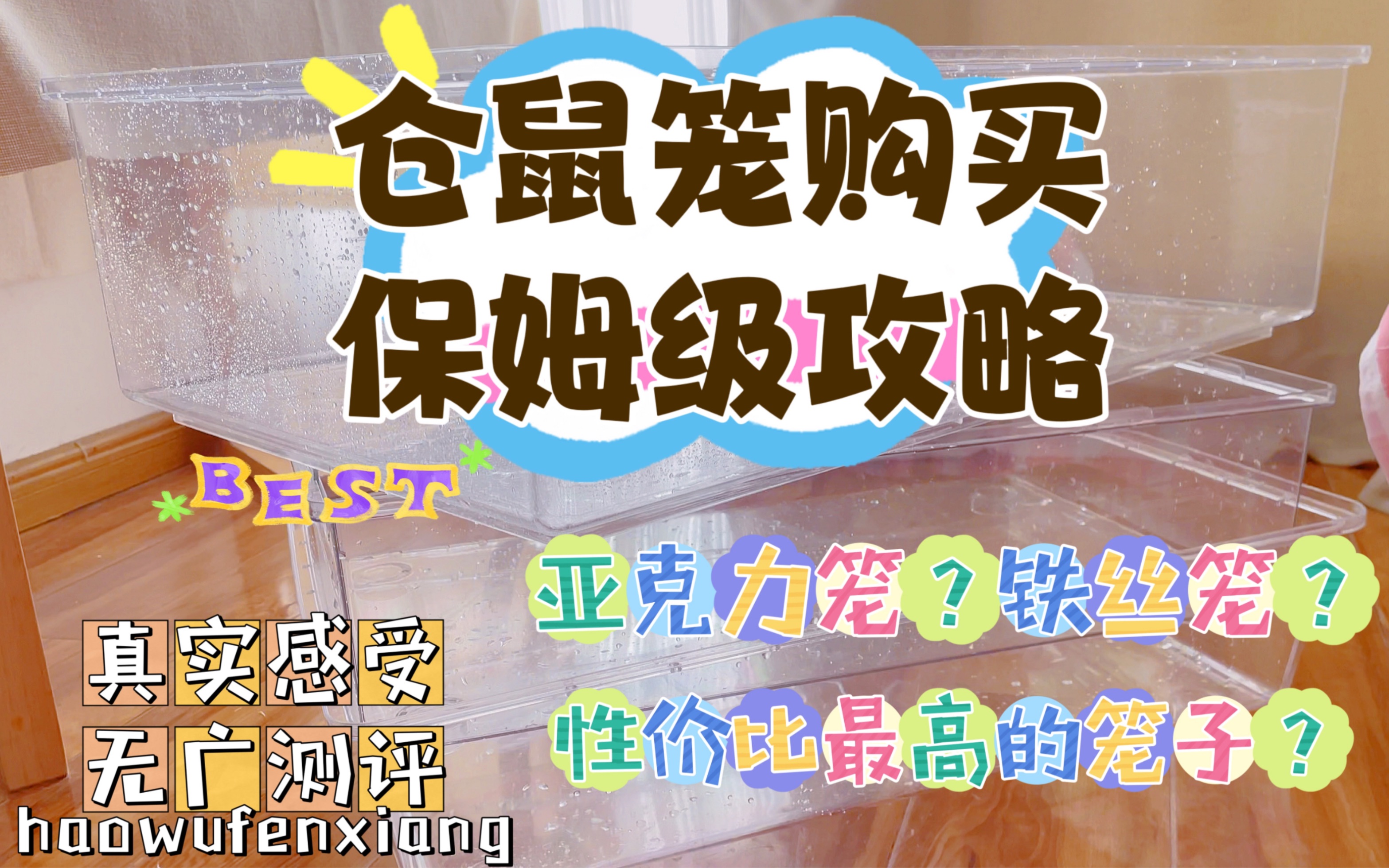 仓鼠笼的选购 | 最新测评避雷哔哩哔哩bilibili