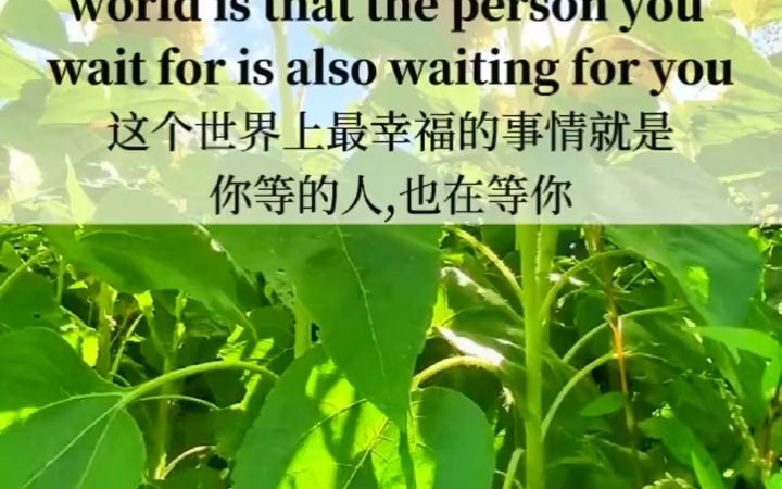 The happiest thing in the world is that the person you wait for is also waiting哔哩哔哩bilibili