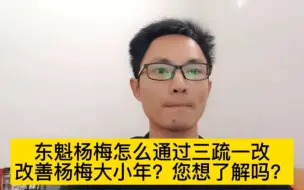 Download Video: 东魁杨梅怎么通过三疏一改去改善杨梅大小年？掌握方法了吗？