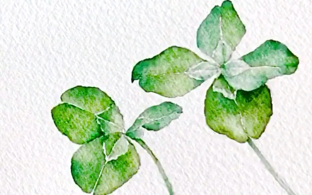 [水彩]三叶草上色步骤