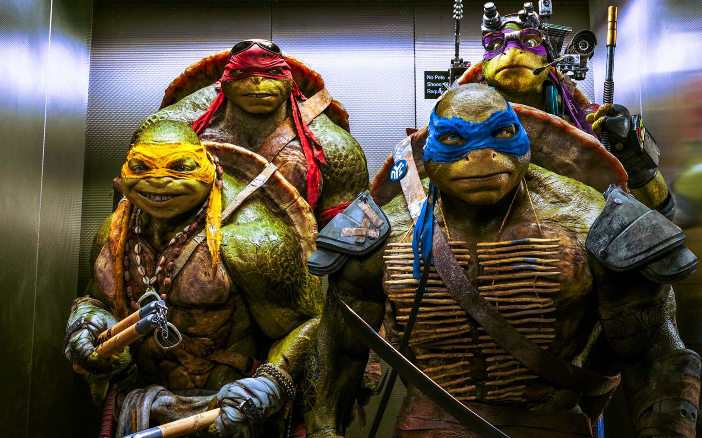 老鼠将四只小乌龟养大,并教他们功夫,化身忍者神龟拯救世界.