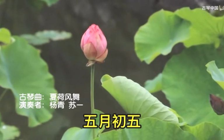 曾仕强教授传承班【北京ⷥ›𝥭监】:22、敬事而信,节用而爱人,使民以时哔哩哔哩bilibili