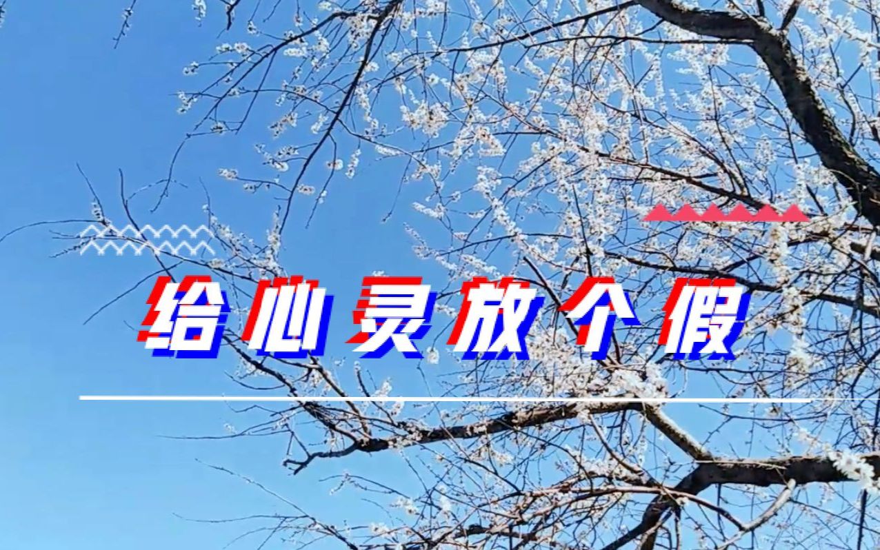 高三的别学了,出来给心灵放个假