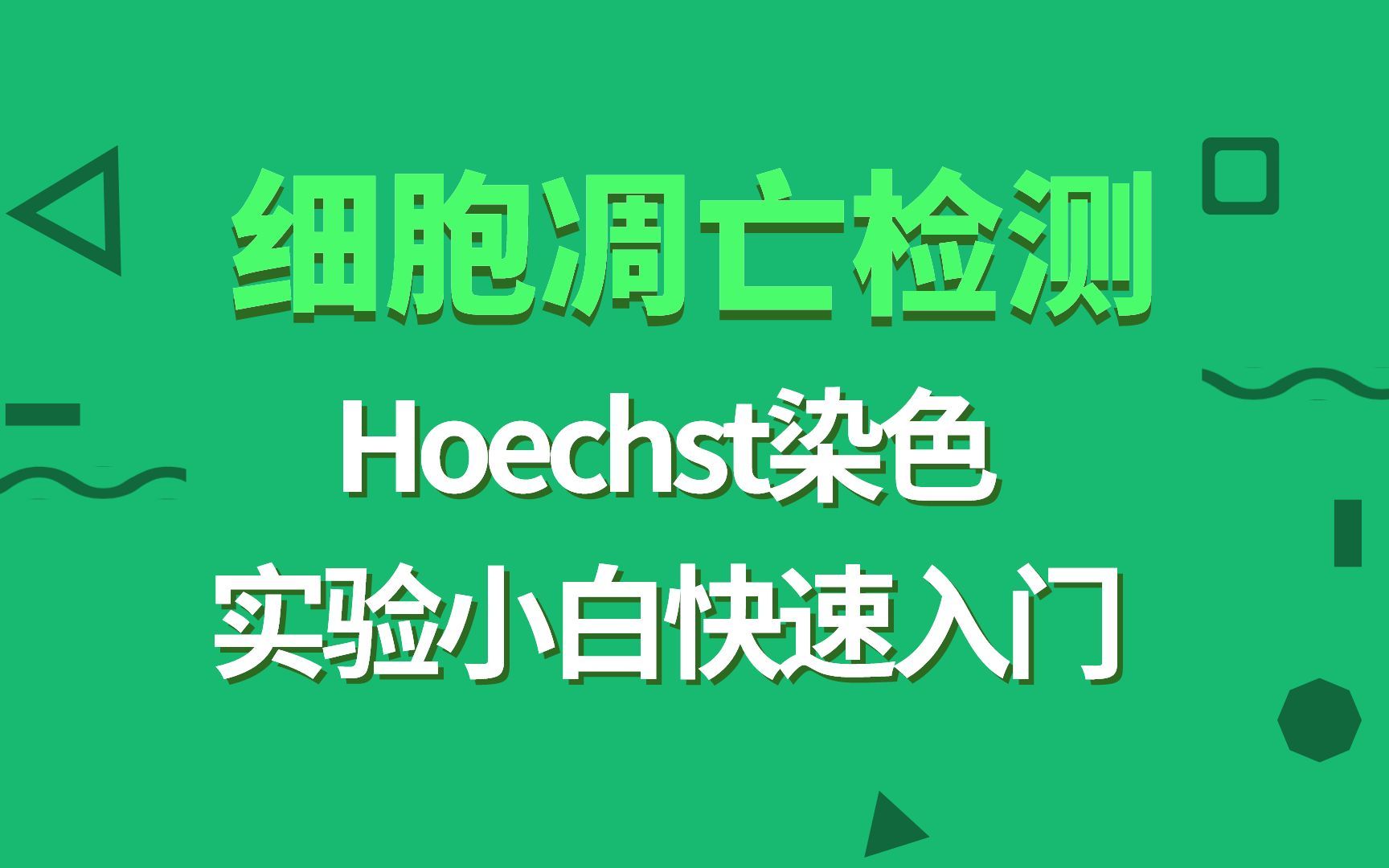 医学生必备|细胞凋亡检测实验,PI染色,Hoechst染色,细胞增殖哔哩哔哩bilibili